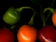 berries