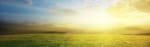 Zonsondergang over groen veld - Alles Over De Schepping Banier