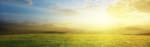 Zonsondergang over groen veld - Alles Over De Schepping Banier