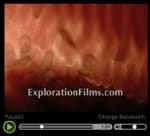 Evolution vs Creation - Watch this short video clip